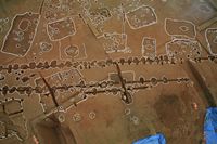 부여 송국리유적_007_목주시설의 배치 상태_2011_고고_제4유형.JPG이미지